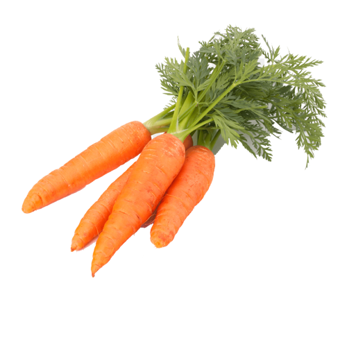Fresh Carrots for Sale